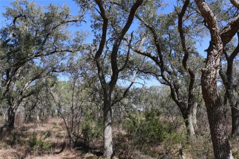 5688 Fm 2325 Wimberley TX 78676