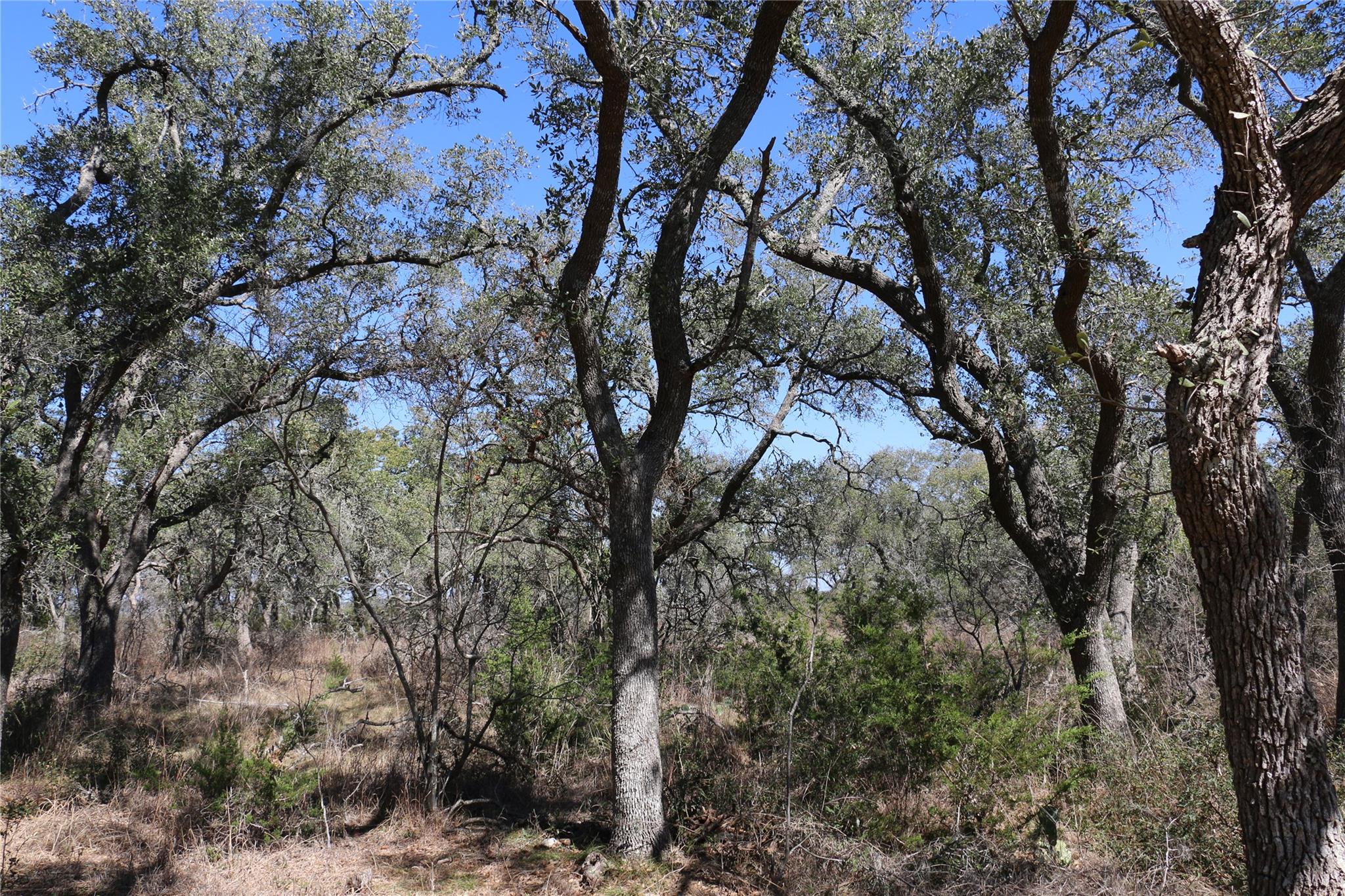 5688 Fm 2325 Wimberley TX 78676