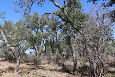 5688 Fm 2325 Wimberley TX 78676