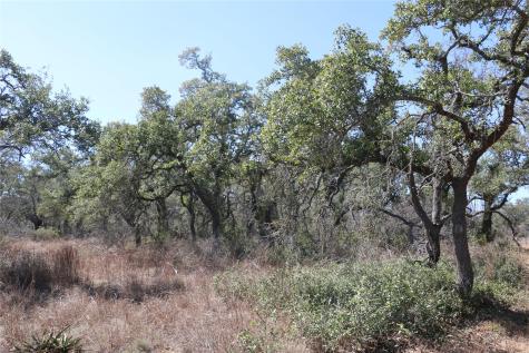 5688 Fm 2325 Wimberley TX 78676