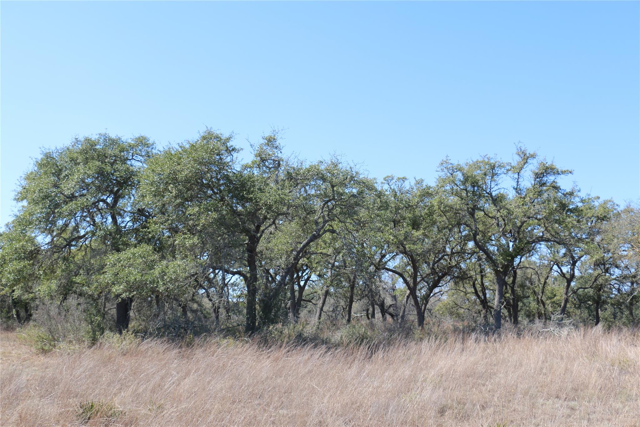 5688 Fm 2325 Wimberley TX 78676
