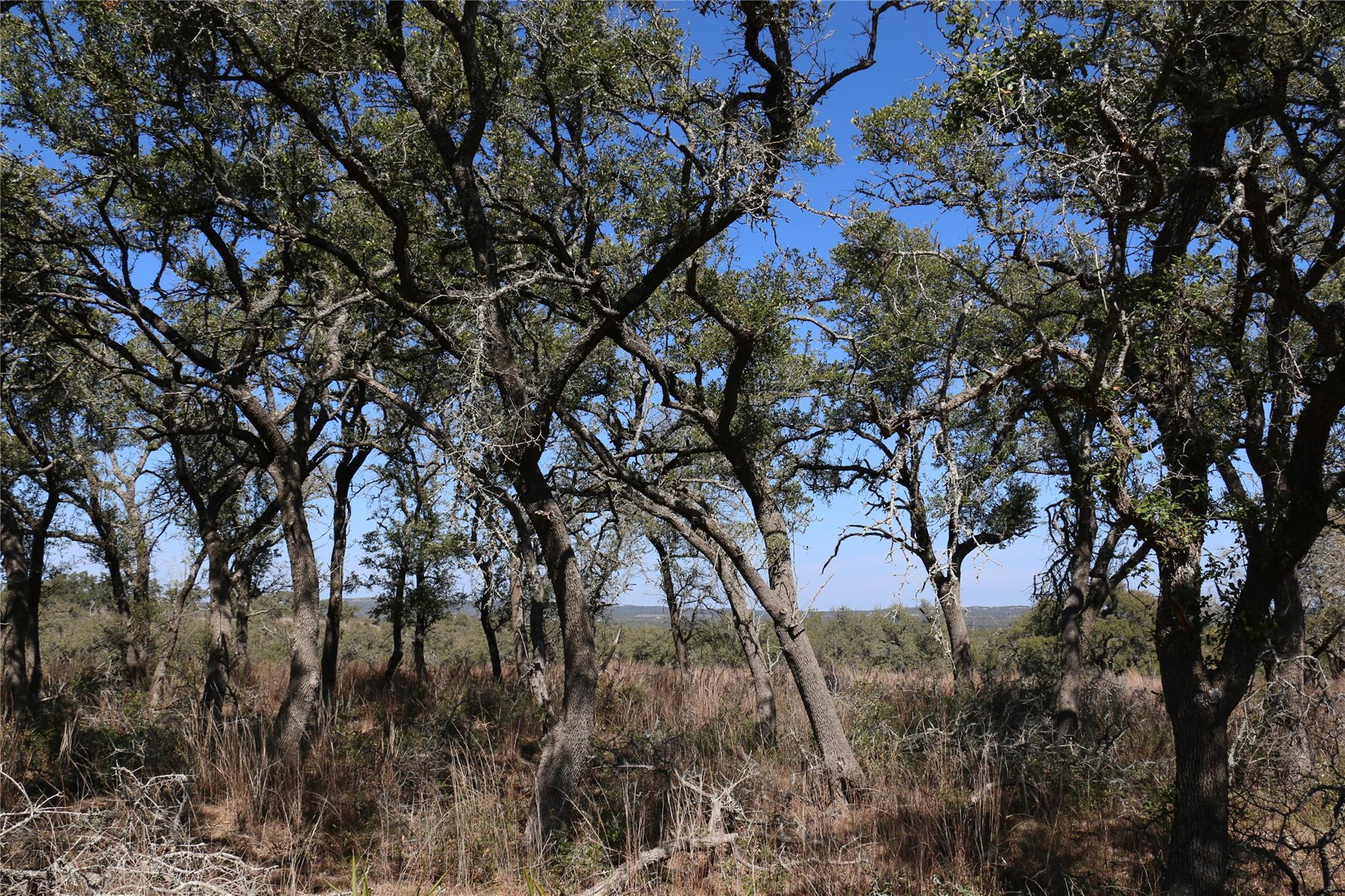 5688 Fm 2325 Wimberley TX 78676