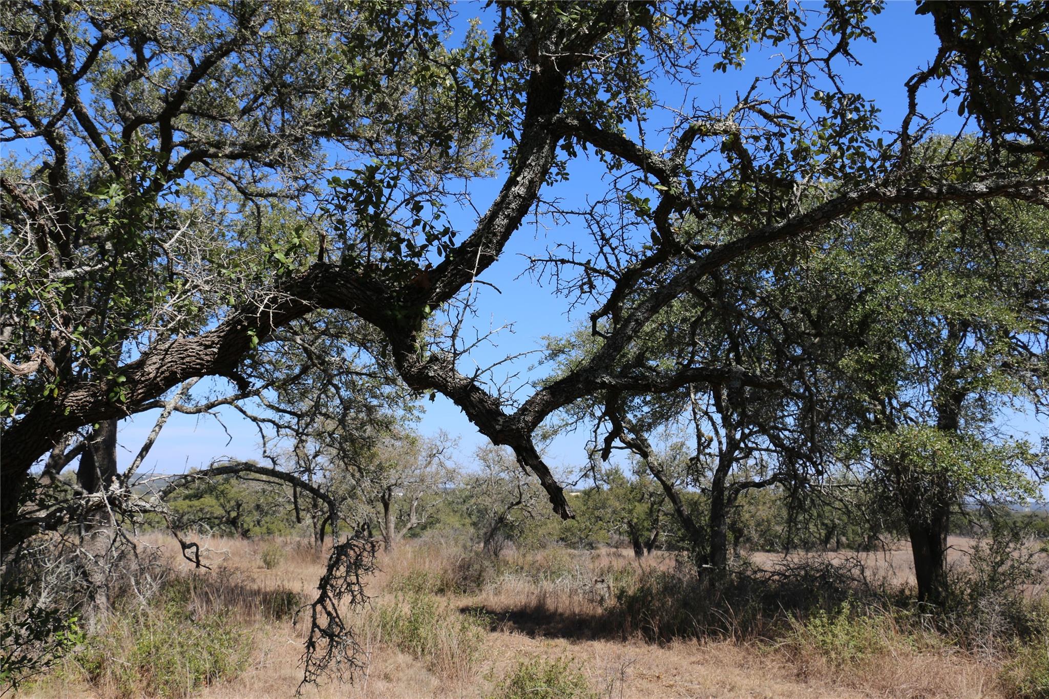 5688 Fm 2325 Wimberley TX 78676