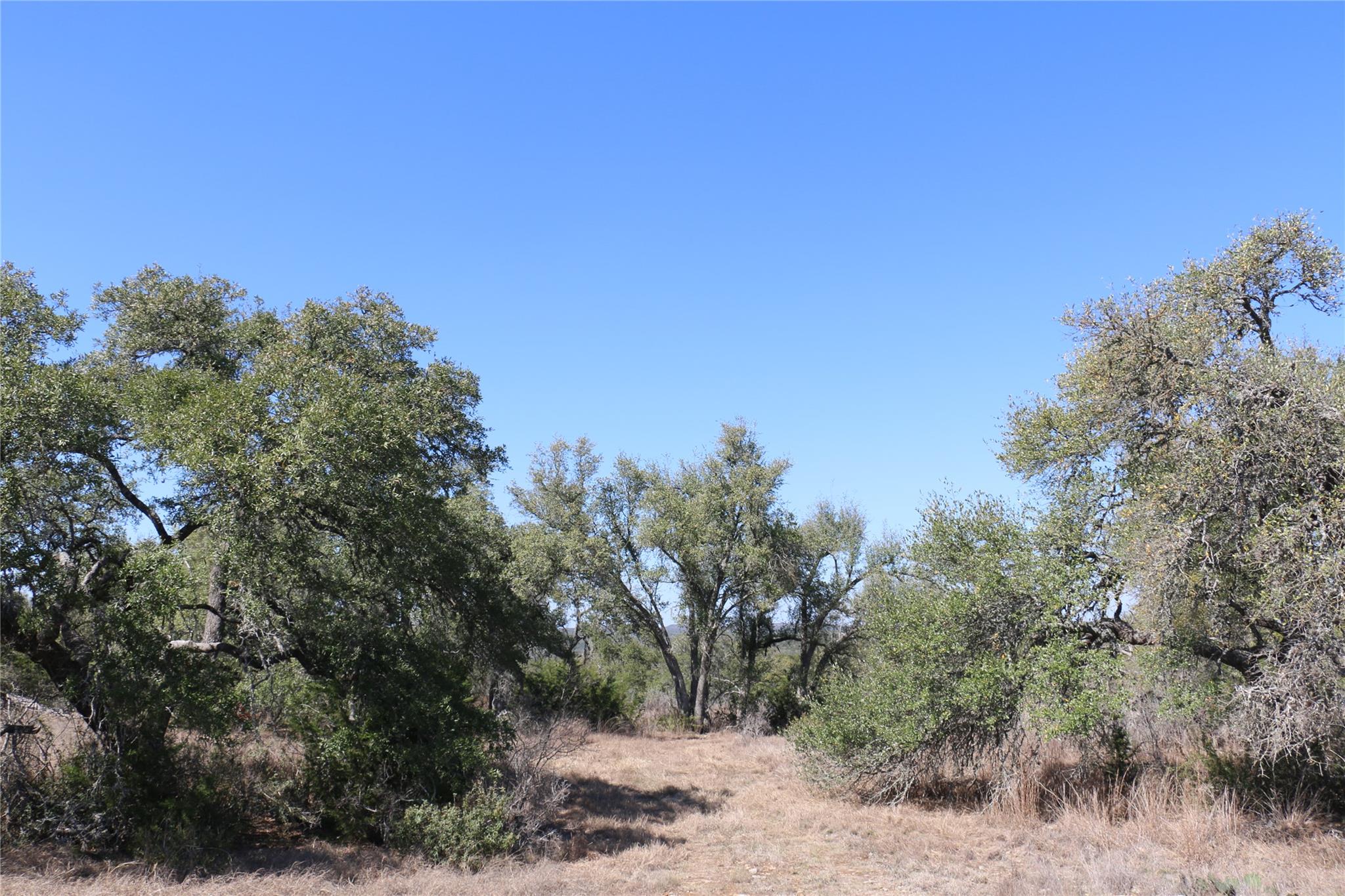 5688 Fm 2325 Wimberley TX 78676