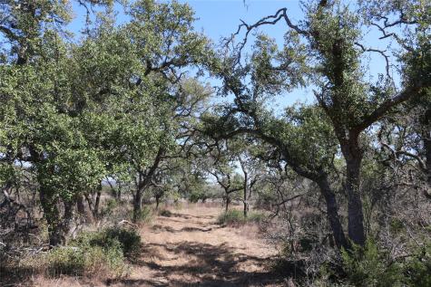 5688 Fm 2325 Wimberley TX 78676