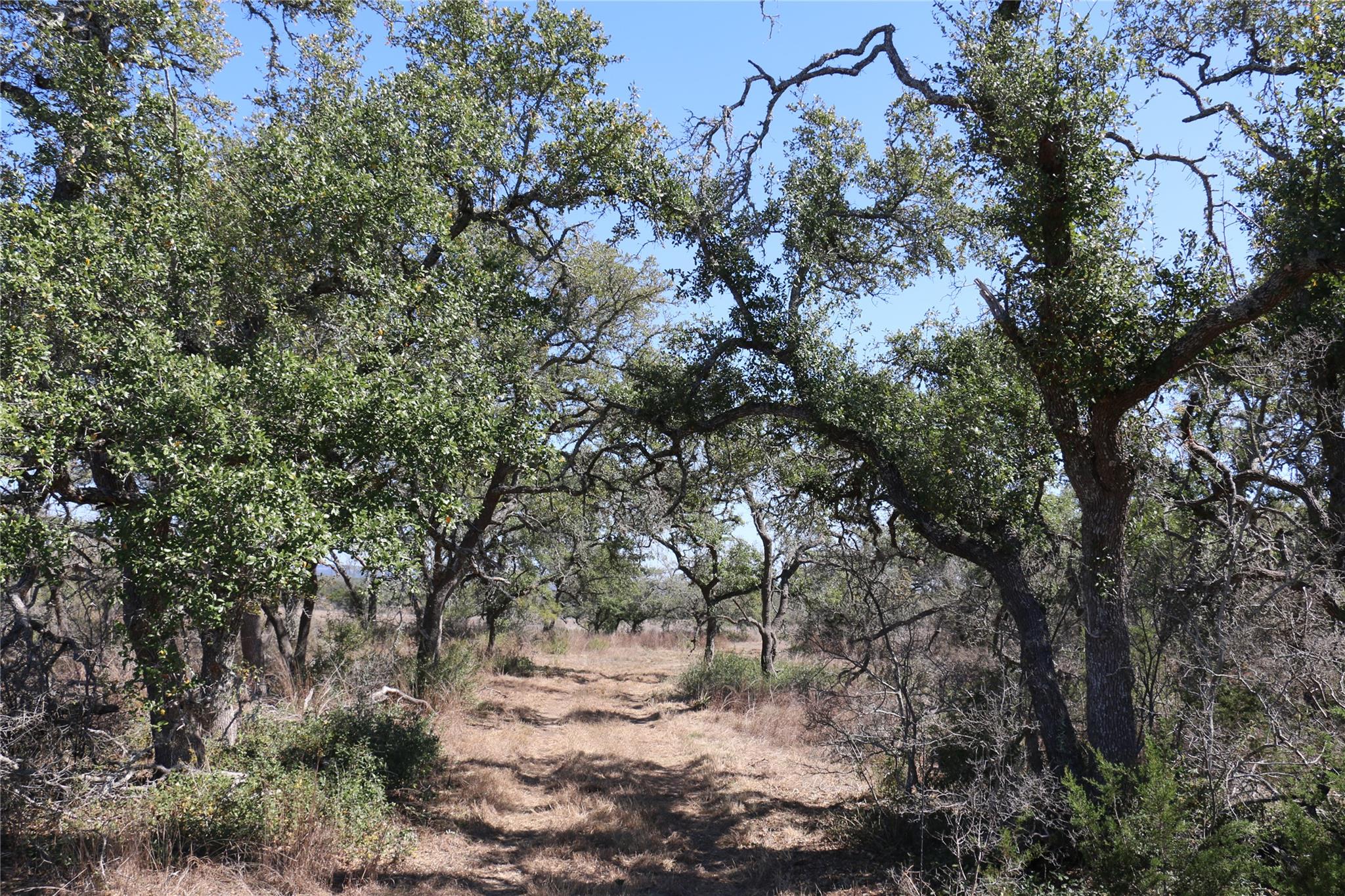 5688 Fm 2325 Wimberley TX 78676