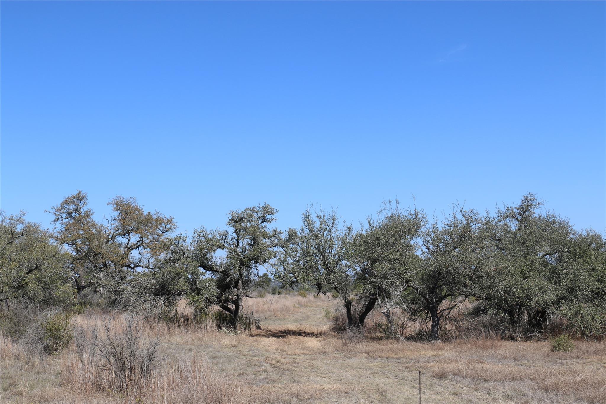 5688 Fm 2325 Wimberley TX 78676