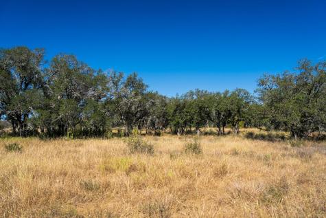 928 Bendele Road Johnson City TX 78636