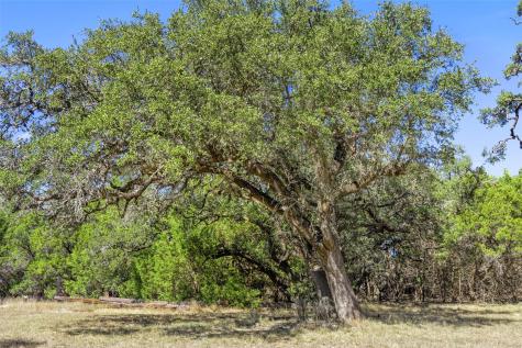 1151 Fawn Valley Drive Canyon Lake TX 78133