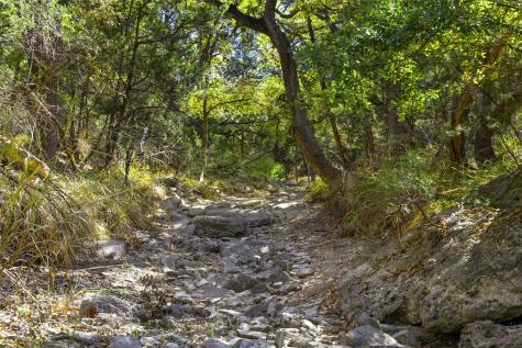 1151 Fawn Valley Drive Canyon Lake TX 78133