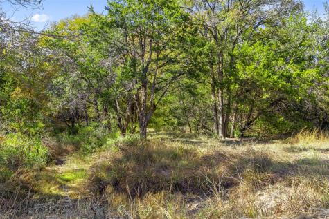 1151 Fawn Valley Drive Canyon Lake TX 78133