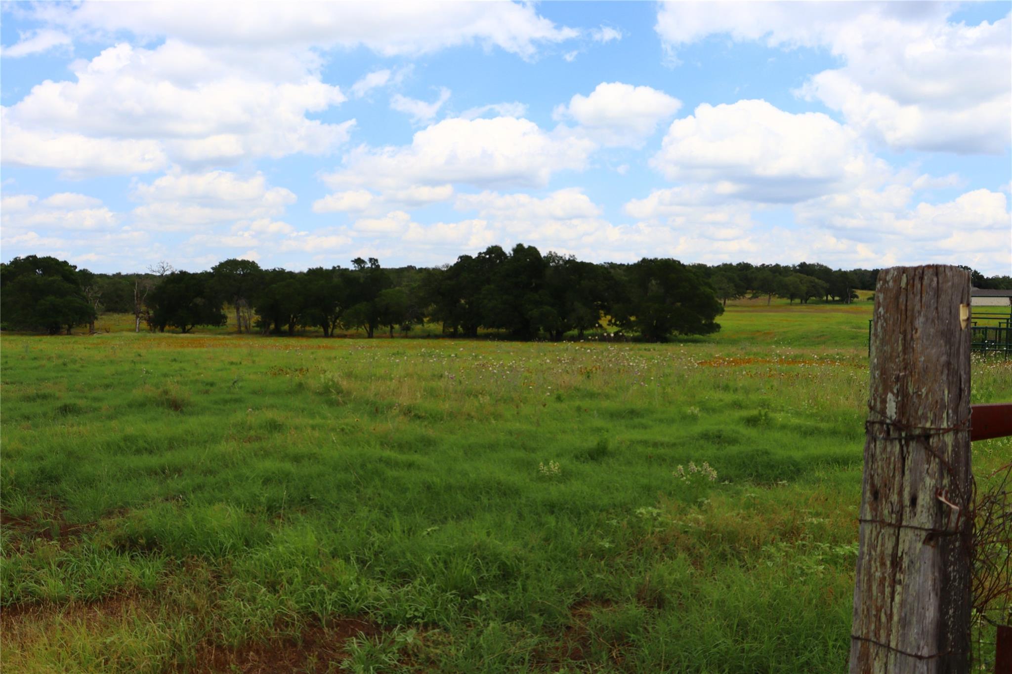 174 Wilson Road Elgin TX 78621