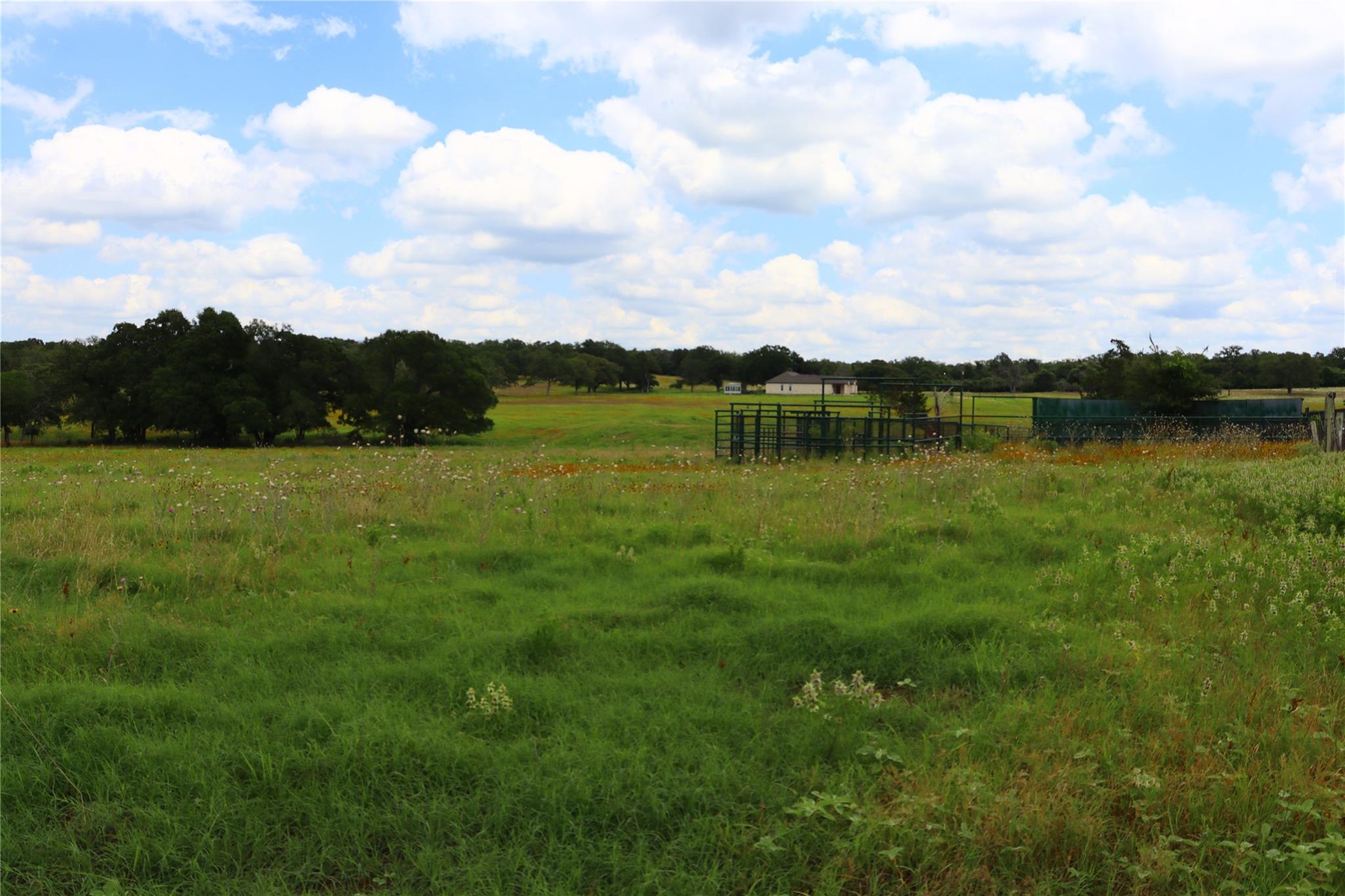 174 Wilson Road Elgin TX 78621