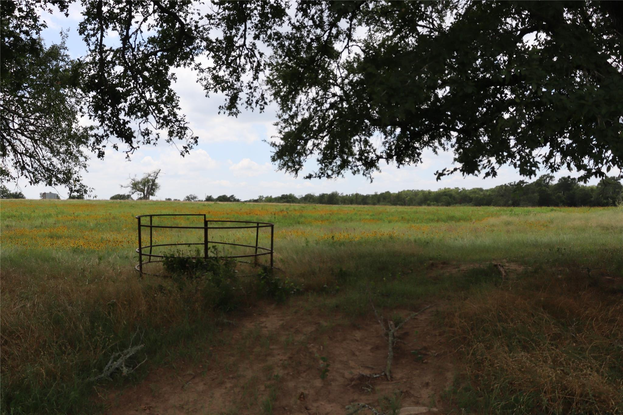 174 Wilson Road Elgin TX 78621