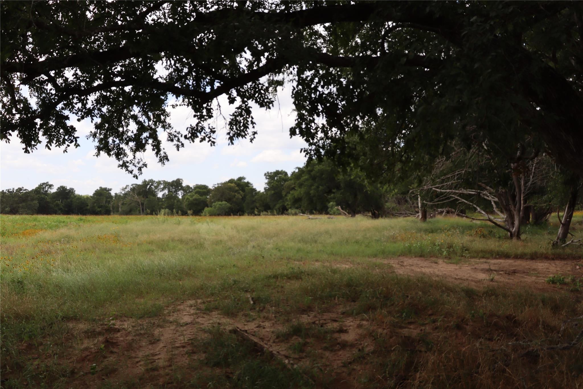 174 Wilson Road Elgin TX 78621