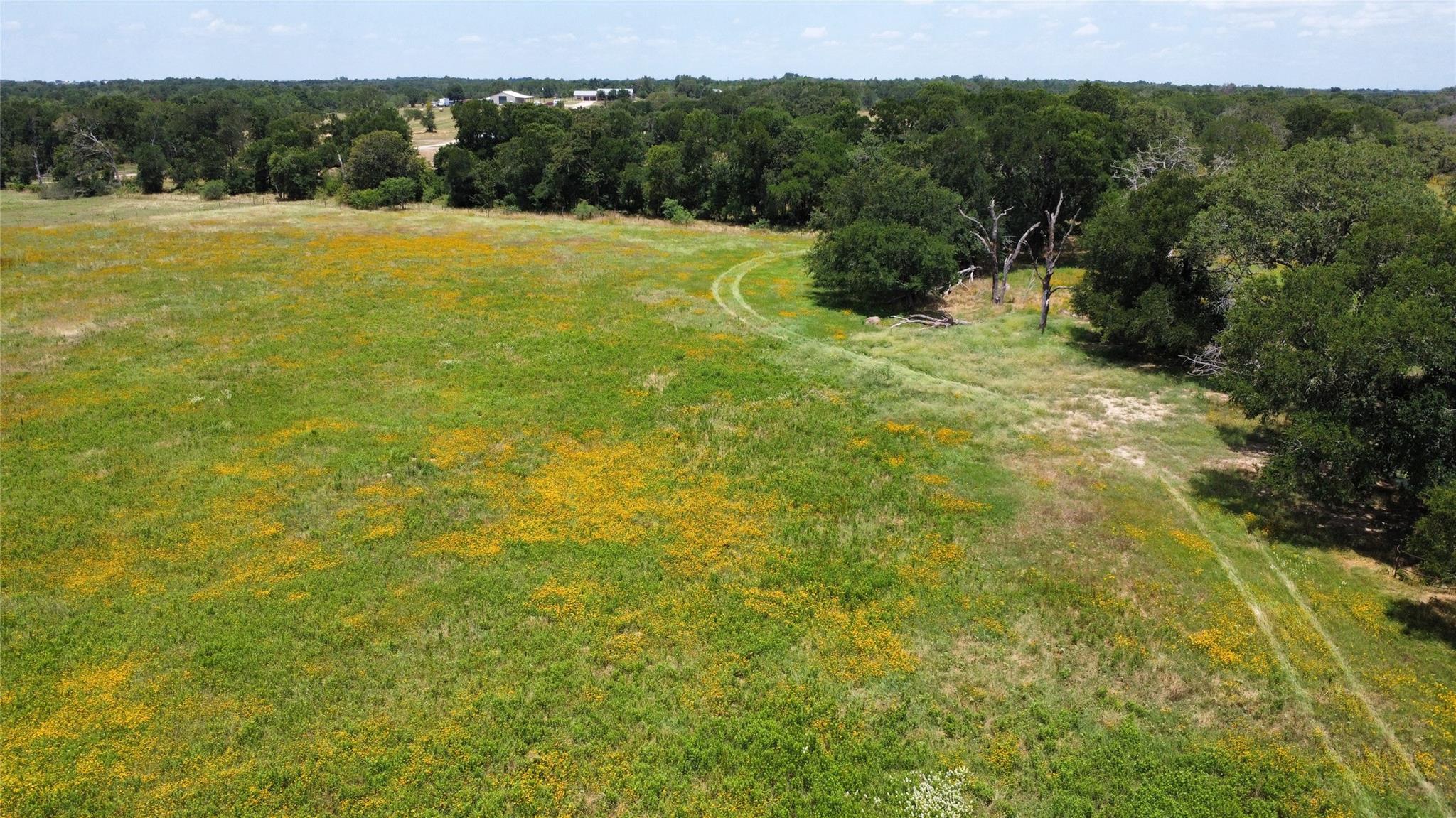174 Wilson Road Elgin TX 78621