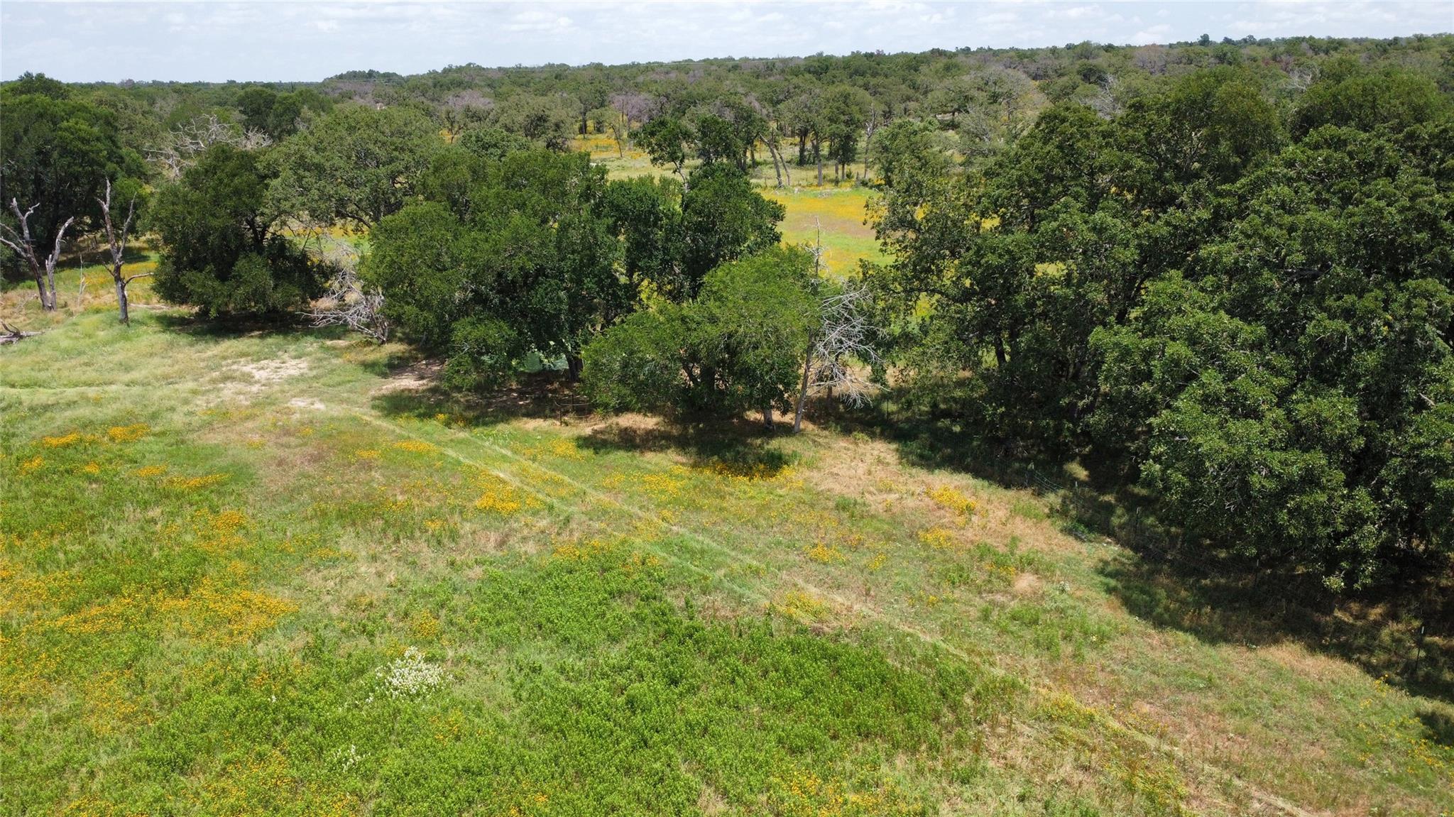 174 Wilson Road Elgin TX 78621
