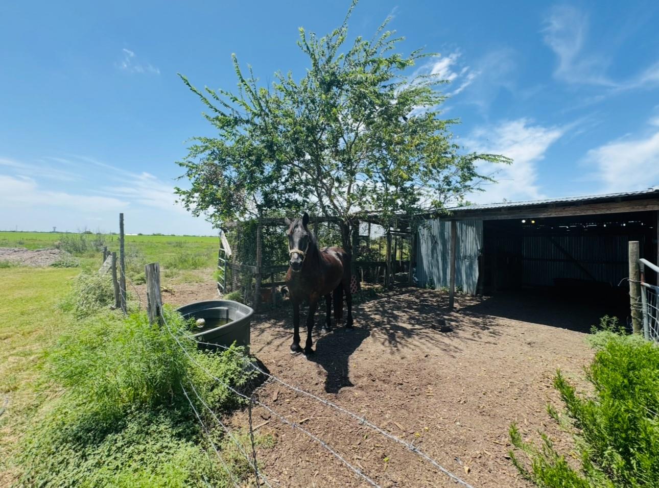 2334 Cr 464 Elgin TX 78621