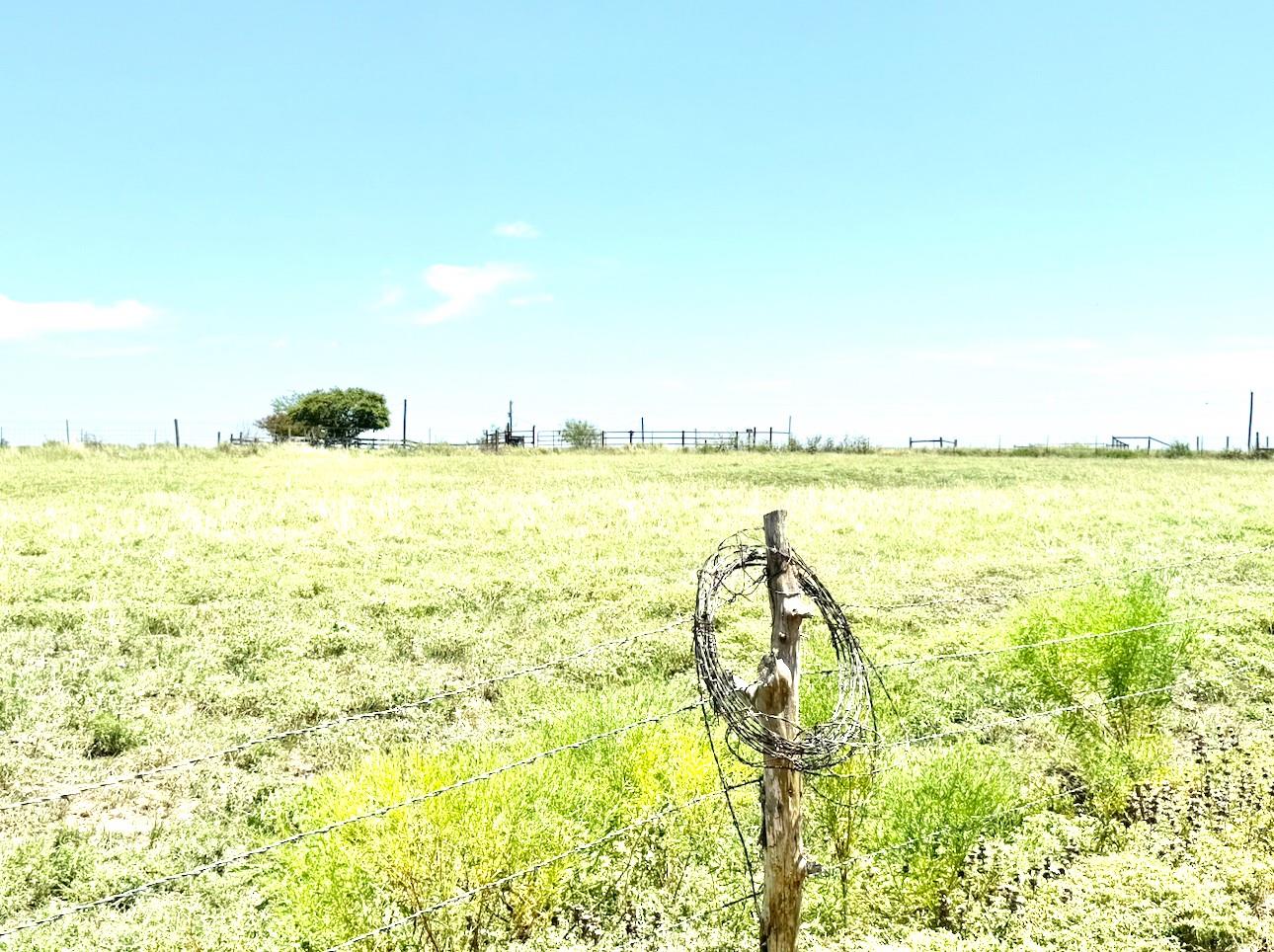 2334 Cr 464 Elgin TX 78621