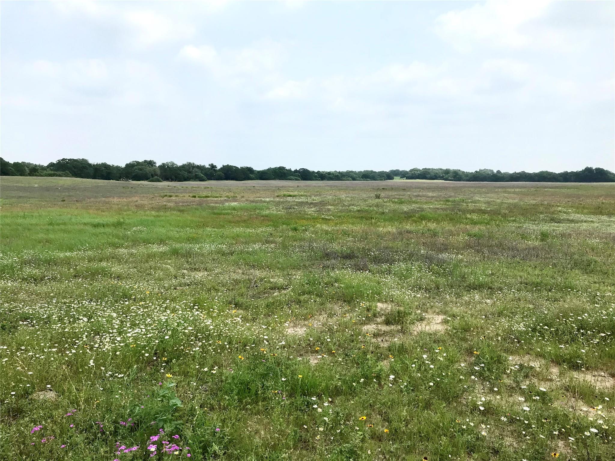 1672 Sayers Tract 2 Road Bastrop TX 78602
