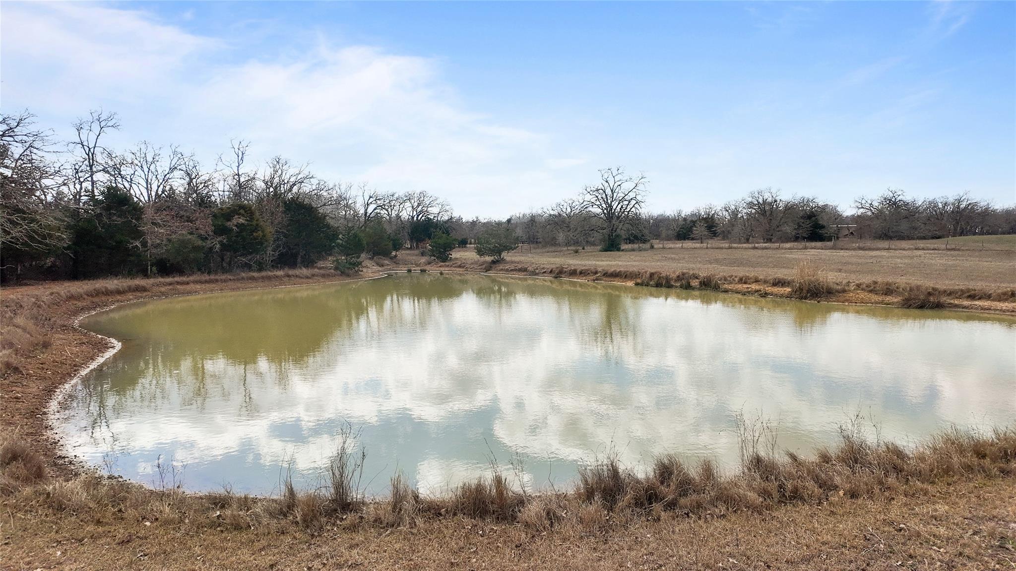 3640 County Road 481 Thrall TX 76578