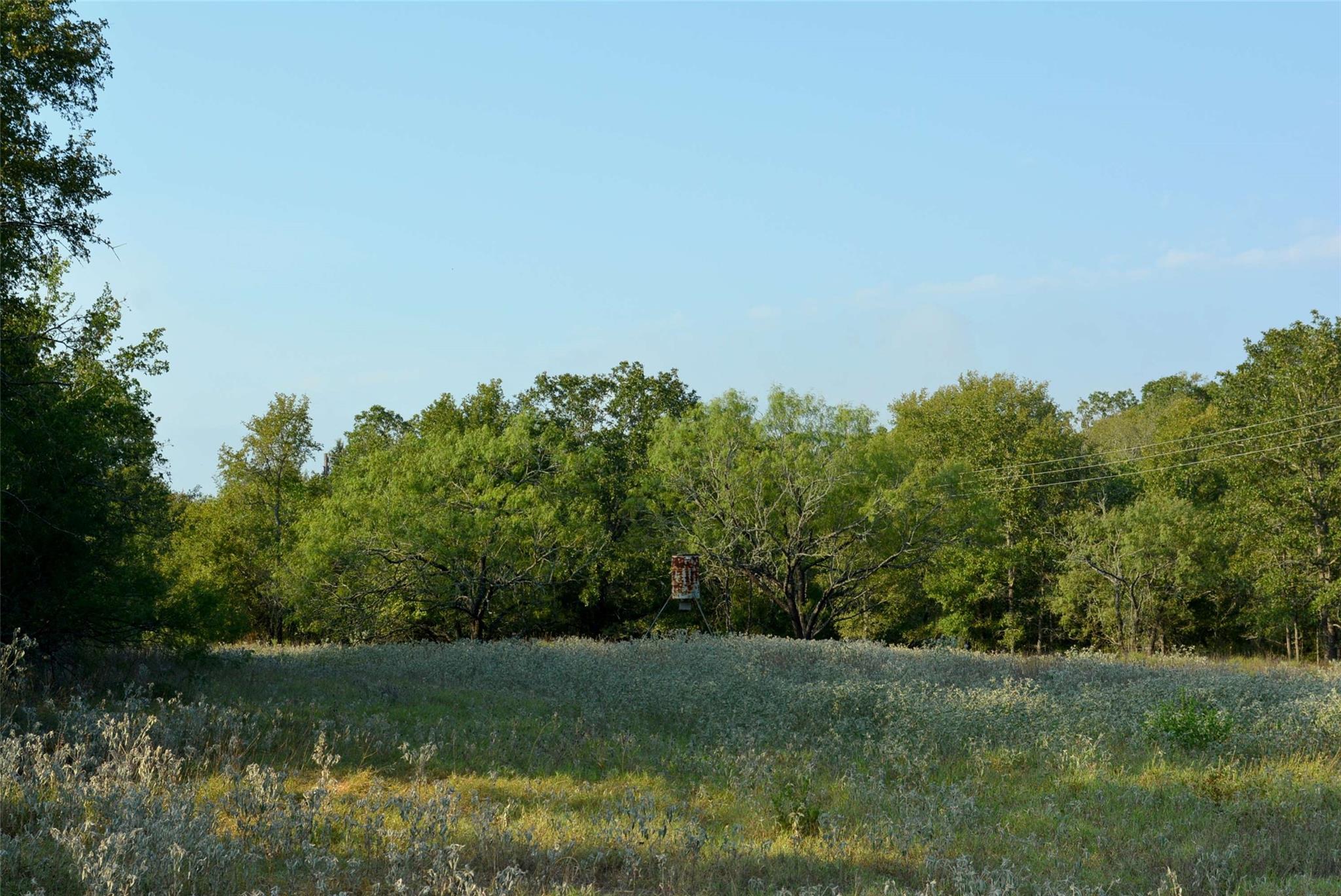 569 Tbd Burdette Wells Road Lockhart TX 78644