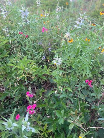 569 Tbd Burdette Wells Road Lockhart TX 78644