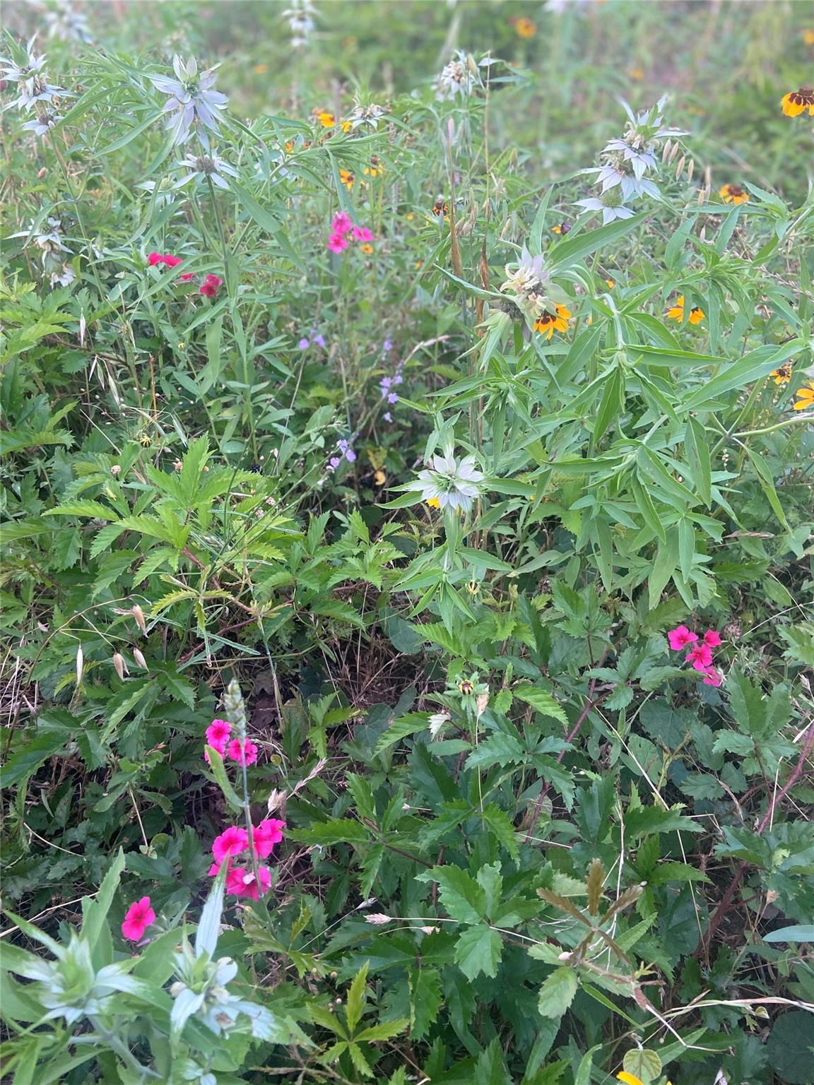 569 Tbd Burdette Wells Road Lockhart TX 78644