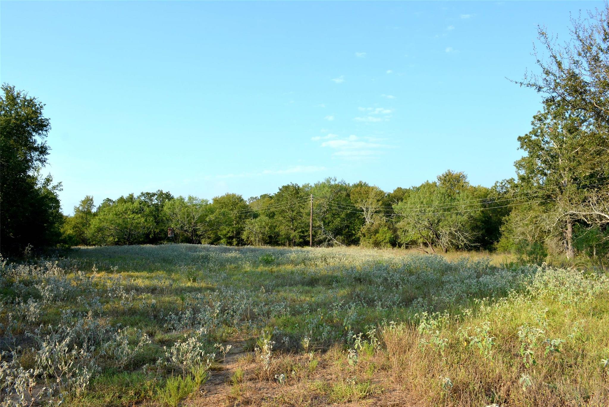569 Tbd Burdette Wells Road Lockhart TX 78644