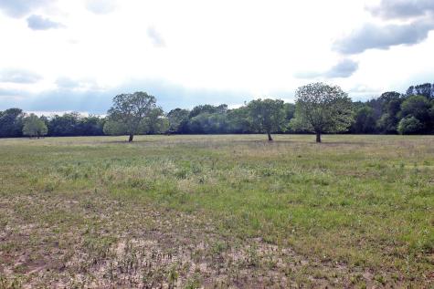 6019 Fm 3158 Dale TX 78616
