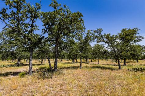 12350 N Highway 16 Highway Fredericksburg TX 78624