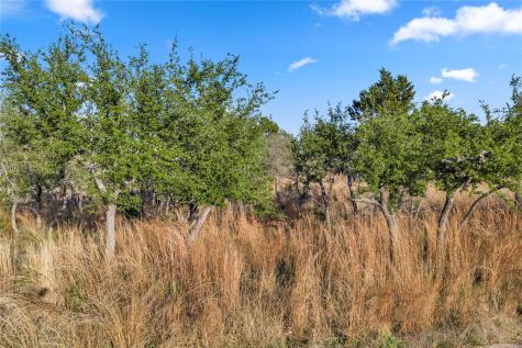 104 County Road 323a Liberty Hill TX 78642