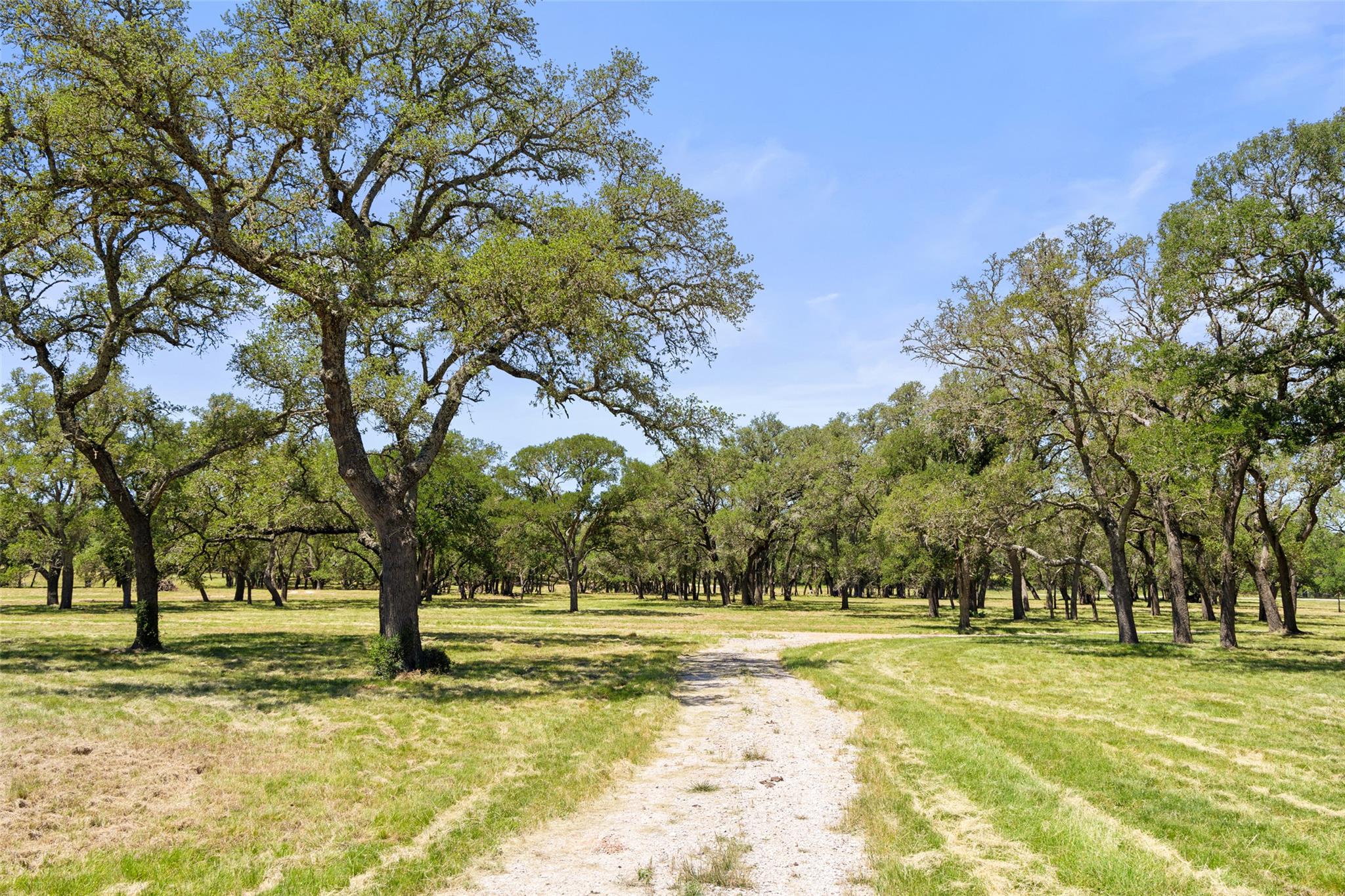 937 Flat Creek Road Johnson City TX 78636