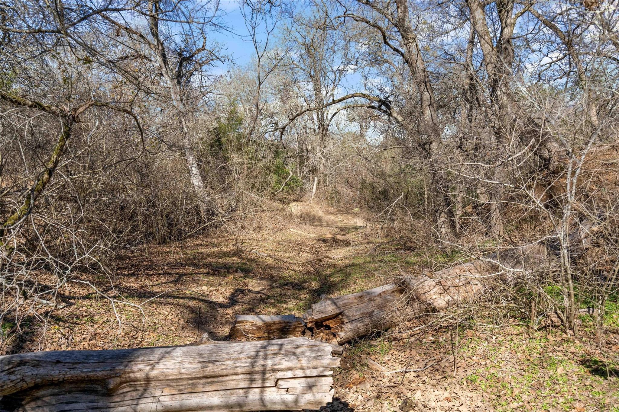 1540 N State Highway 95 Highway Bastrop TX 78602