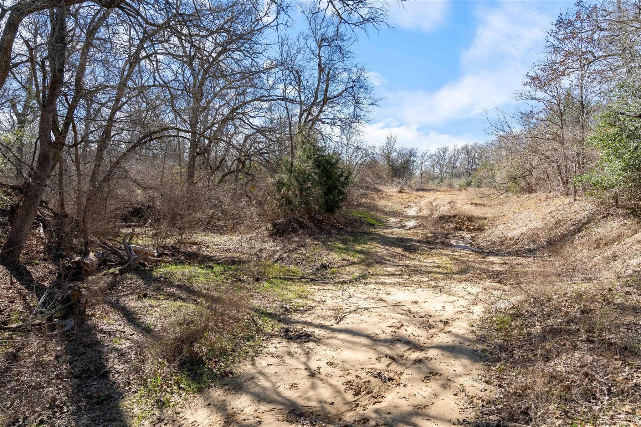 1540 N State Highway 95 Highway Bastrop TX 78602