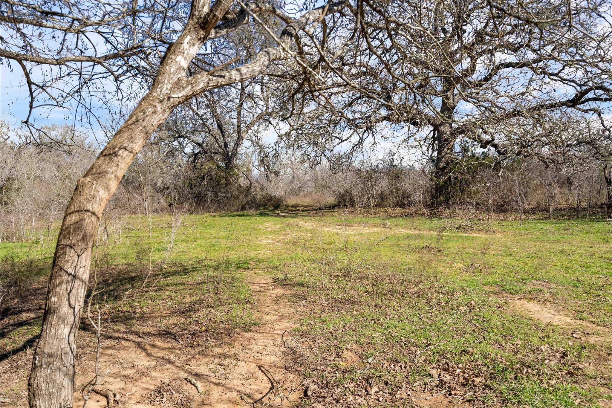 1540 N State Highway 95 Highway Bastrop TX 78602