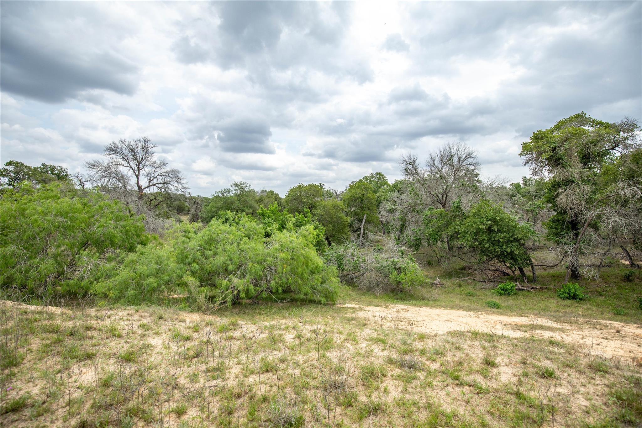 132 Roemer Lane W Floresville TX 78114