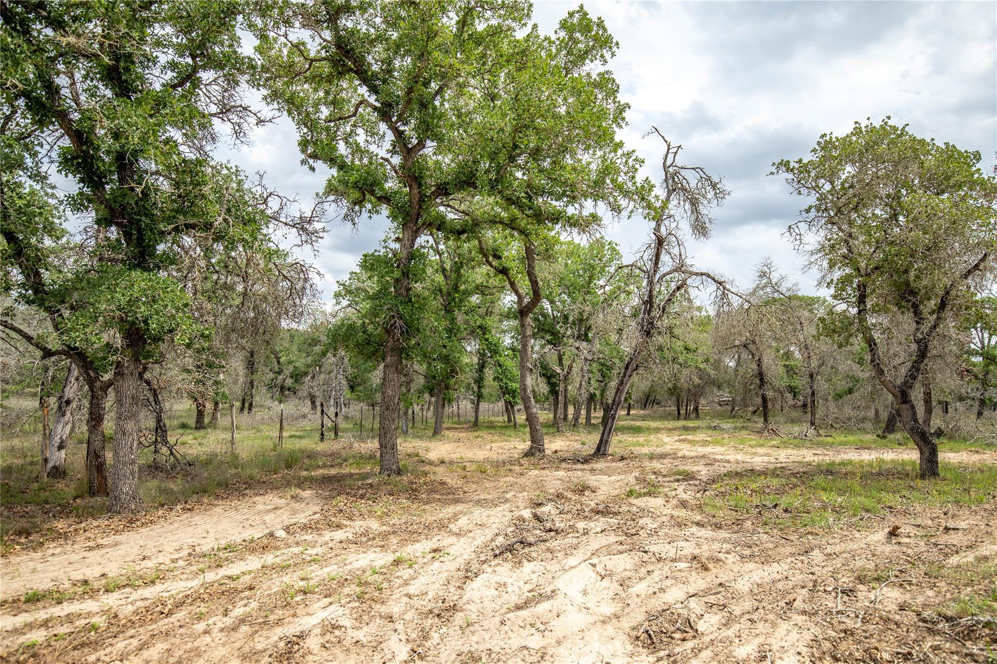132 Roemer Lane W Floresville TX 78114
