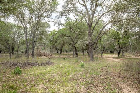 132 Roemer Lane W Floresville TX 78114