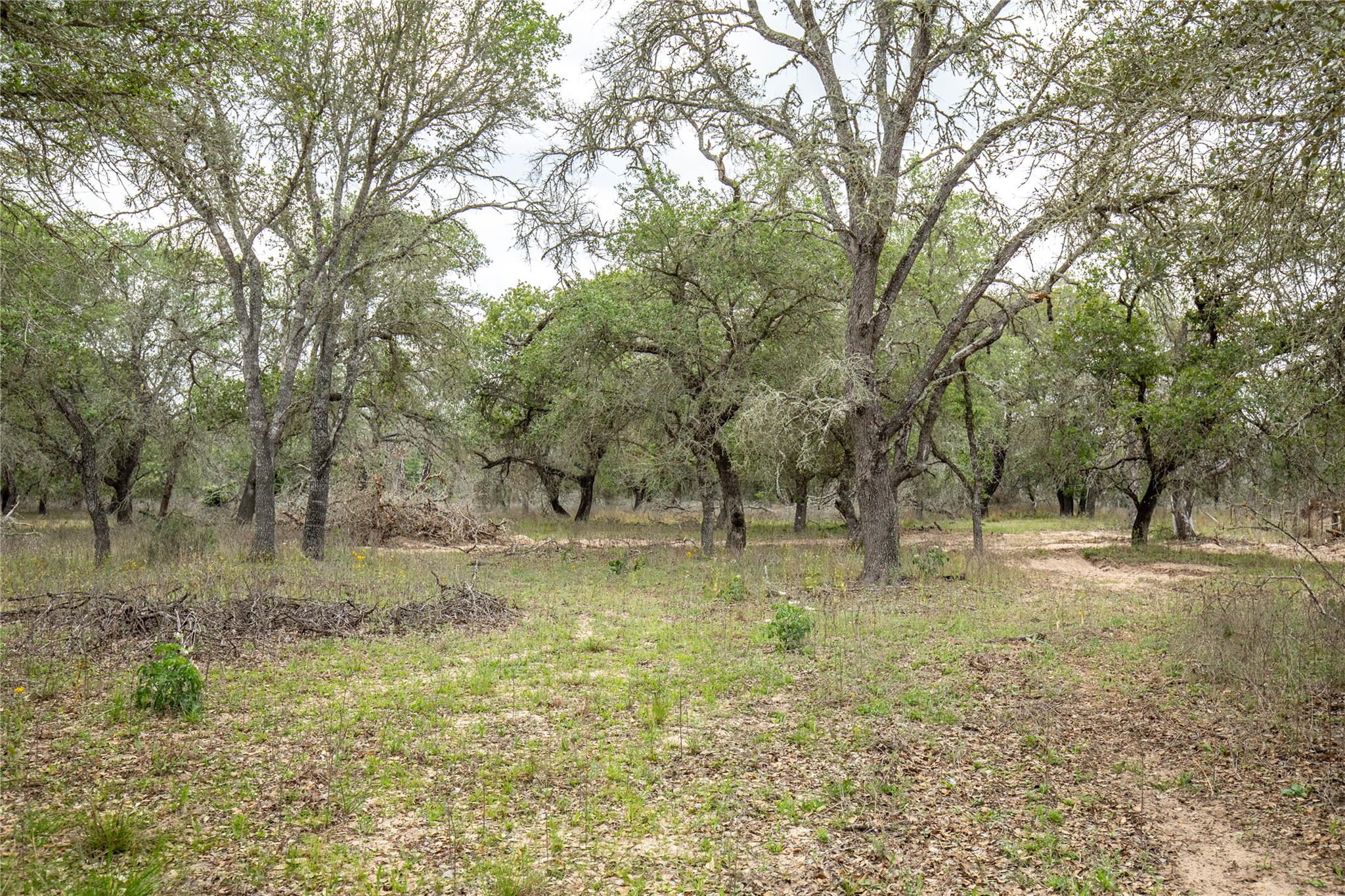 132 Roemer Lane W Floresville TX 78114