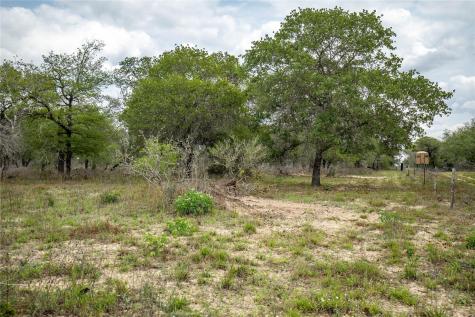 132 Roemer Lane W Floresville TX 78114