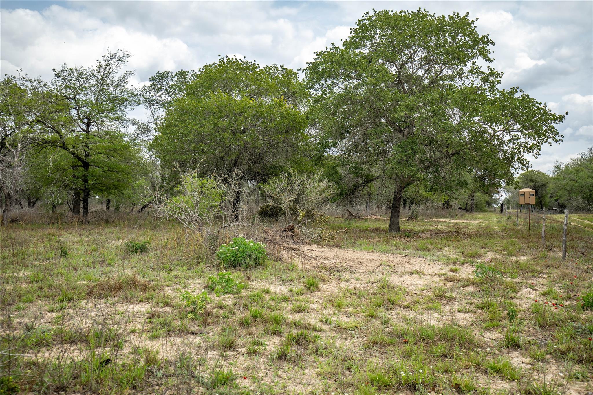 132 Roemer Lane W Floresville TX 78114