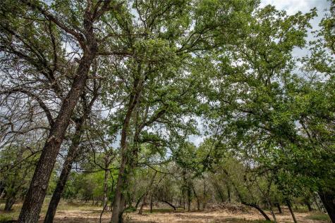 132 Roemer Lane W Floresville TX 78114