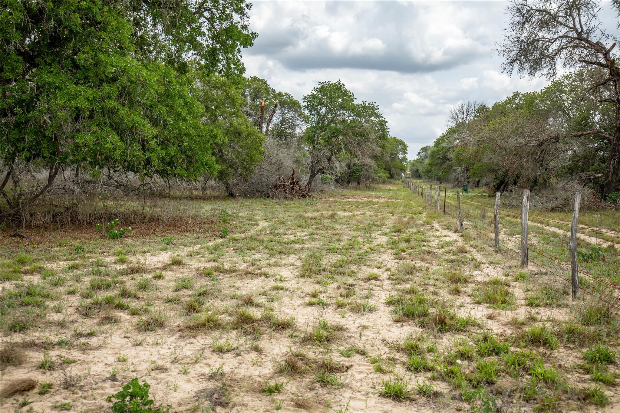 132 Roemer Lane W Floresville TX 78114
