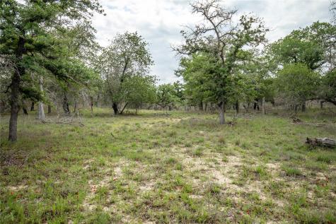 132 Roemer Lane W Floresville TX 78114