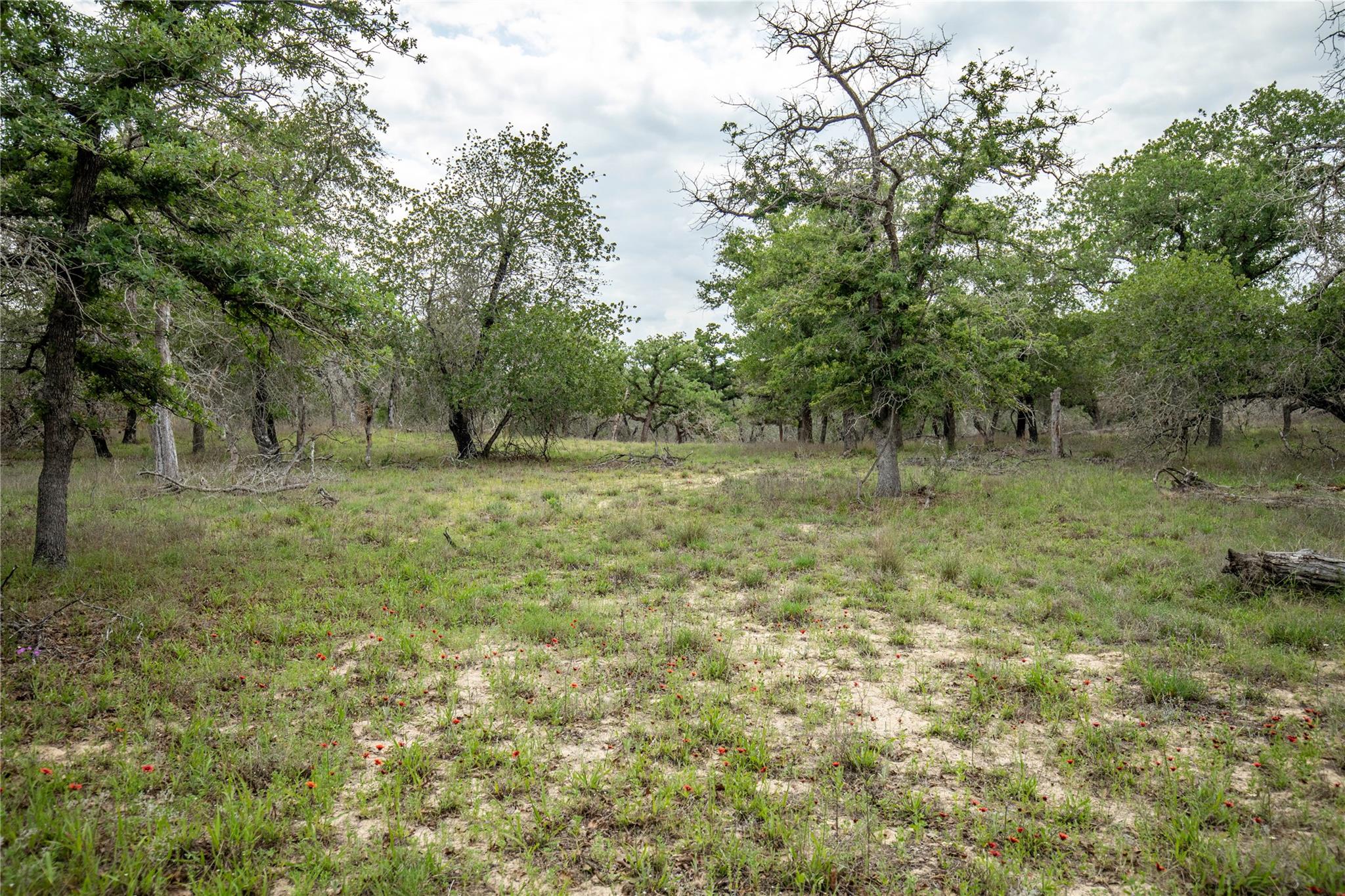 132 Roemer Lane W Floresville TX 78114