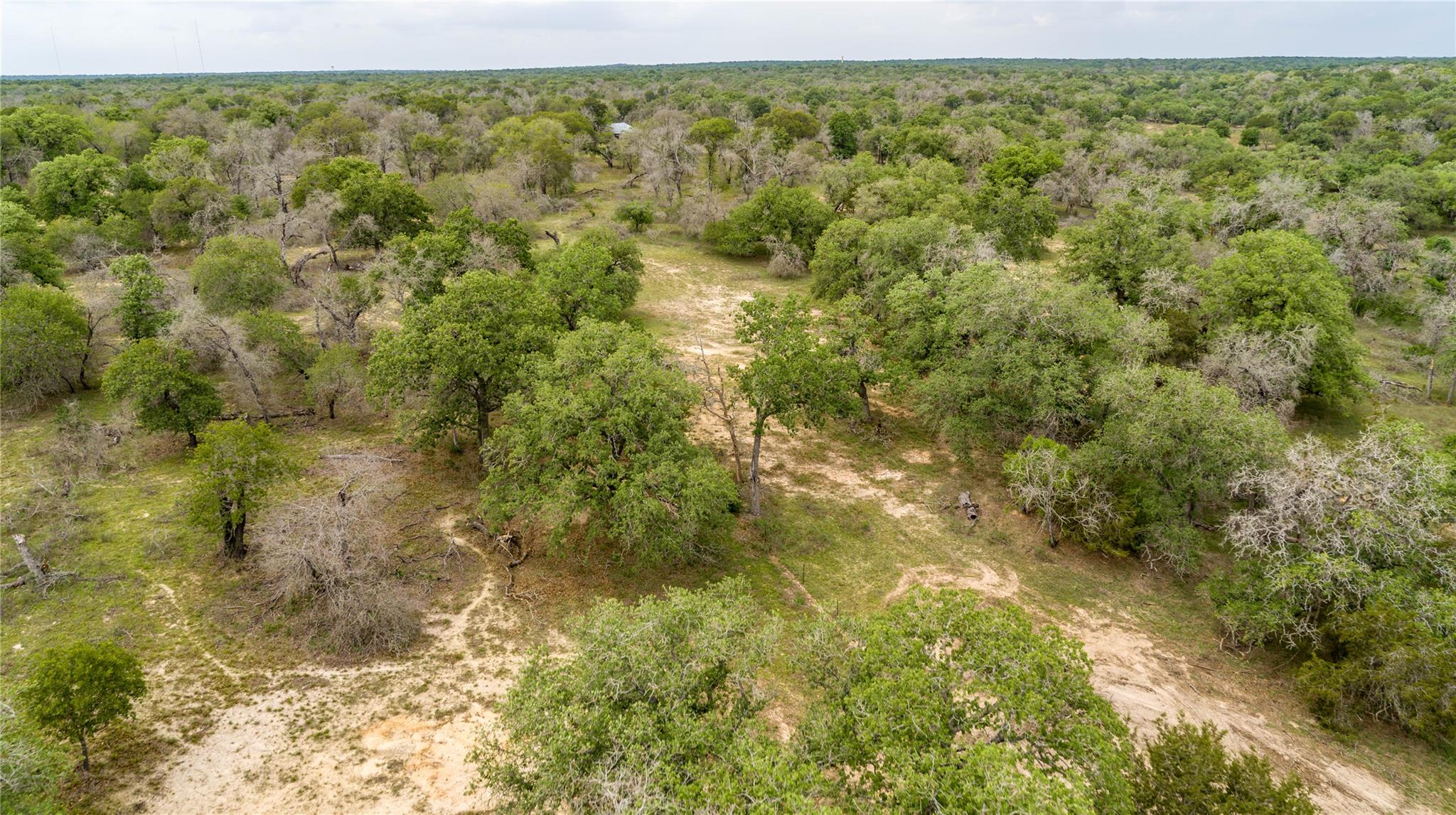 132 Roemer Lane W Floresville TX 78114