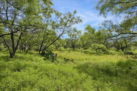 0 County Road 222 Tow TX 78672