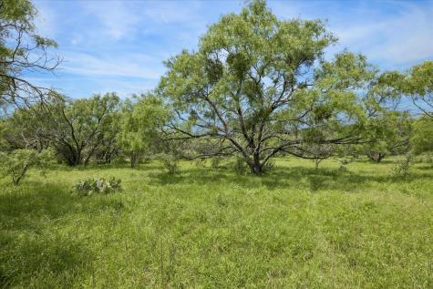 0 County Road 222 Tow TX 78672