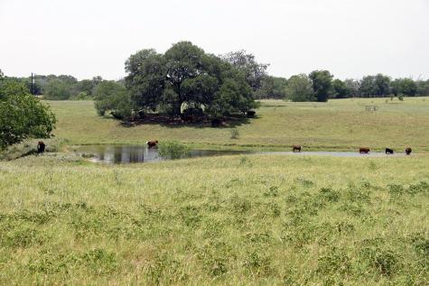 319 R C Lane Lockhart TX 78644